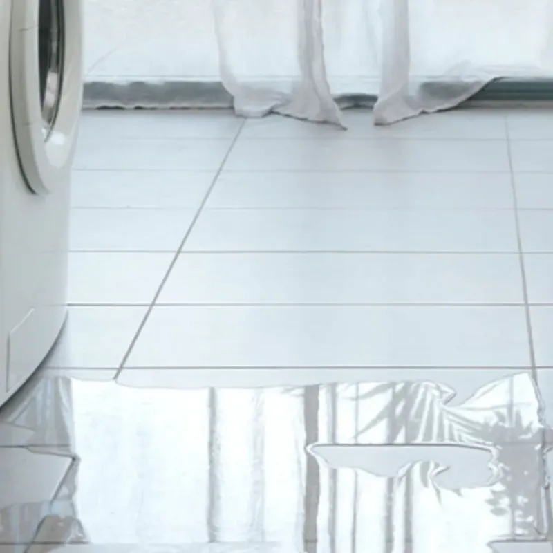 Appliance Leak Cleanup in Albion, IL