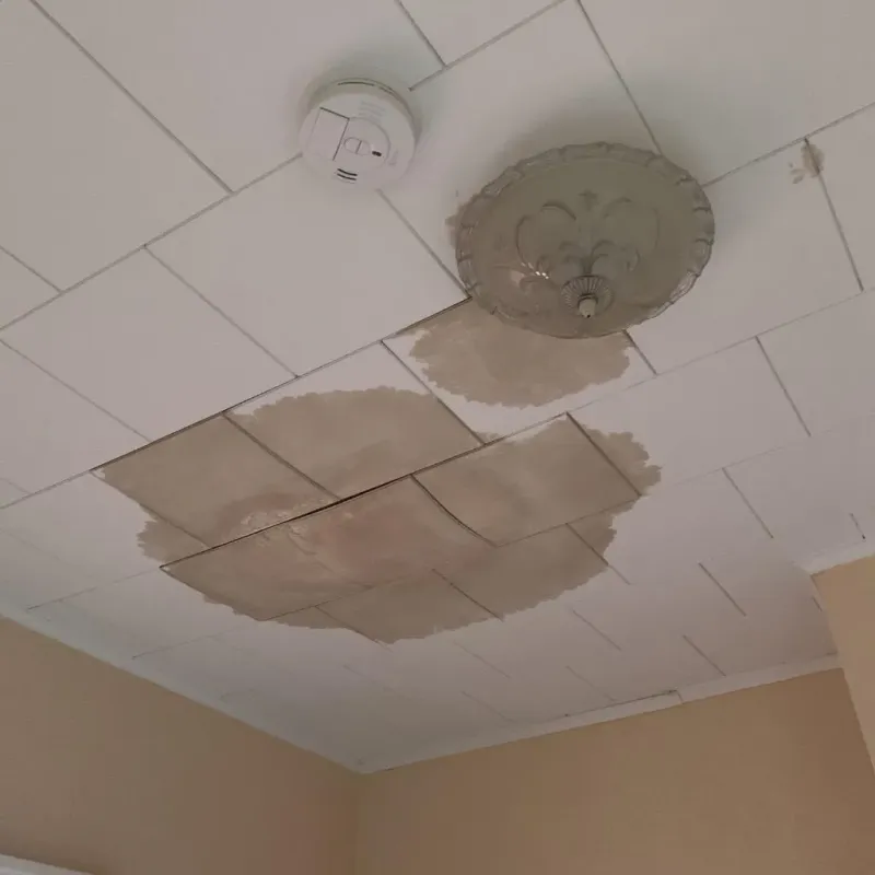 Ceiling Water Damage Repair in Albion, IL