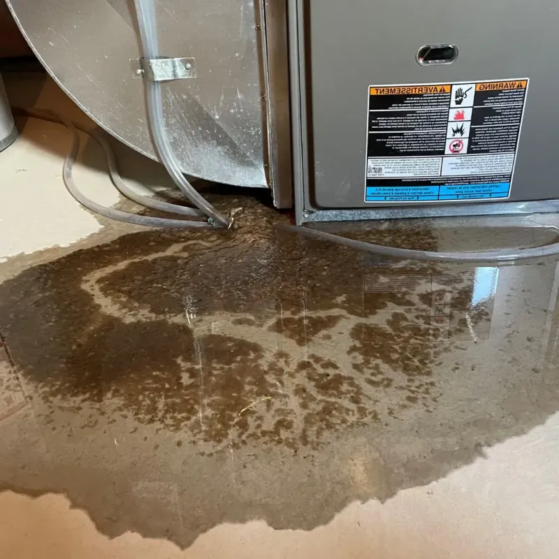 Pipe Burst and Leak Restoration in Albion, IL