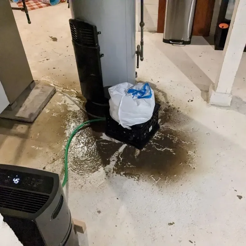 Sewage Backup Cleanup Service in Albion, IL